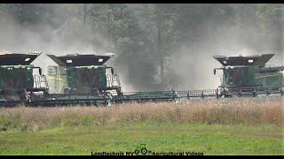 John Deere  Massey Ferguson  Getreideernte  Grain Harvest 2022 The Wohle Story [upl. by Eillam]