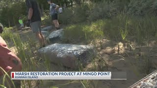 Marsh restoration project at Mingo Point on Kiawah Island [upl. by Ettari]