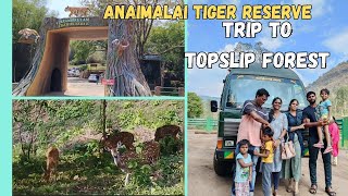 Topslip tourism places in Tamilsafari ride to elephant campAnaimalai tiger reserve forest [upl. by Krahling35]