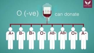 Blood Donation Guide [upl. by Lette]