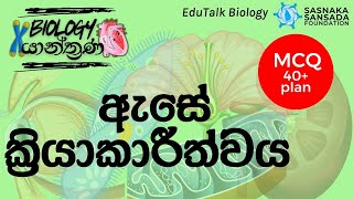 ඇසේ ක්‍රියාකාරීත්වය  Functions of Human Eye  EduTalk Biology [upl. by Nivac]