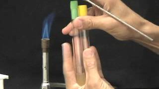 Flame Sterilization and Tube Transfer [upl. by Naujtna]