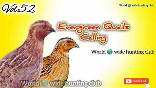 World 🌎 wide hunting clubVOL52NIGHT SOUNDرات کی اواز [upl. by Remat434]