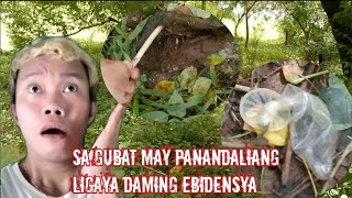 Gubat pagsapit ng gabi may panandaliang ligaya daming ebidensya [upl. by Tessa]