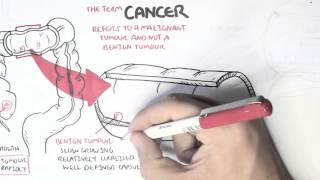 Cancer  Introduction I [upl. by Ennahtebazile]