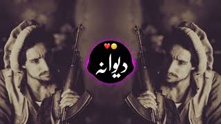 Afghanistan lofer halakan song  pashto new Remix song2024  TikTok trending song  silentz7 [upl. by Adnoluy49]