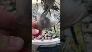 Cleaning the bike chain How to get a perfectly clean chain [upl. by Hanforrd345]