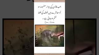 Jab Kanoon ki Deewar Mazboot Hoshortvideostatusviralshort [upl. by Anadroj]