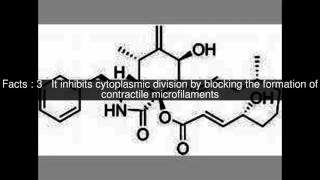 Cytochalasin B Top 7 Facts [upl. by Ettenrahs323]