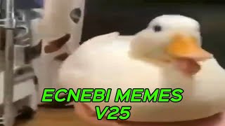 ECNEBI MEMES V25 [upl. by Marleah]