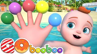 Baby Finger Where Are You  Finger Family Song  Nursery Rhymes amp Babys Songs [upl. by Hamlen160]