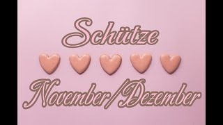 ❤️Schütze❤️NovemberDezember❤️Im Kreuzfeuer der Gefühle❤️ [upl. by Eyssej]