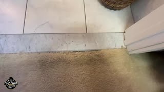 Compass Carpet Repair  Carpet Transition Repair In Florence KY [upl. by Norel]