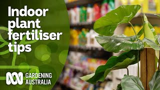 What fertiliser is best for indoor plants  Indoor Plants  Gardening Australia [upl. by Coffin118]