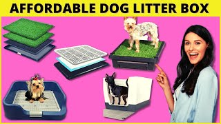 Best Dog Litter Box Indoor Potty Solutions For Your Pup  Cute Litter Box [upl. by Laurita390]