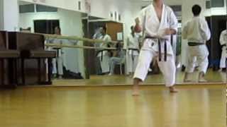 Shotokan karate  kihon techniques for Sandan 3rd Dan  KSK syllabus [upl. by Alica743]