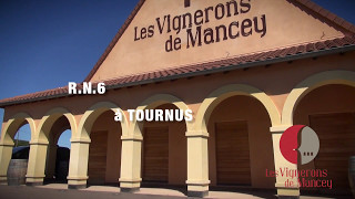 FILM quotLes Vignerons de MANCEYquot [upl. by Ylrad729]