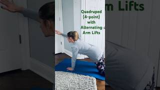 Quadruped 4Point with Alternating Arm Lifts [upl. by Rurik]