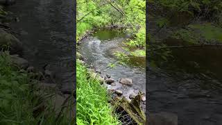 Nine Mile Creek in Bloomington Minnesota [upl. by Pascia]