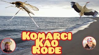 Komarci kao rode [upl. by Anawek717]