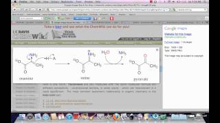 Imine amp Enamine Tautomerization [upl. by Mehitable]