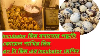 Incubator ডিম বসানোর পদ্ধতি। কোয়েল পাখির খামার। কোয়েল পাখির ডিম। ৫০ টি ডিমের incubator machine koel [upl. by Decamp291]