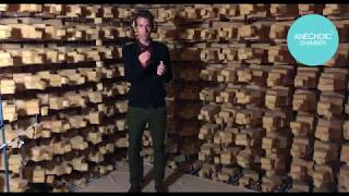 Reverberant vs Anechoic chamber ENG subtitles [upl. by Mezoff]