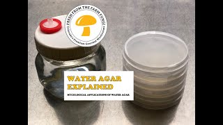 Water Agar Explained Mycological applications of water agar [upl. by Mcgrody]