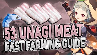 Unagi Meat 53 Locations FAST FARMING ROUTE  Genshin Impact 23 [upl. by Rotsen]