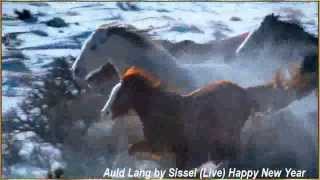 Auld Lang Syne by Sissel Live Happy New Year [upl. by Alehtse70]