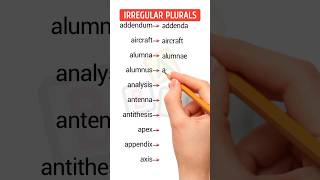 Irregular Plural Nouns [upl. by Wystand]