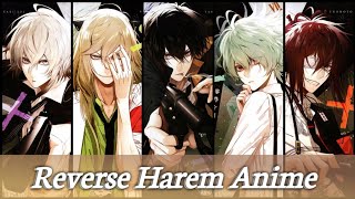 Reverse Harem Anime [upl. by Irt300]