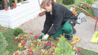 Pflasterarbeiten Witten Garten Friedhof Baumdienst Ronsiek [upl. by Jacquenetta50]