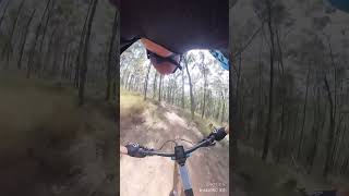 Top section of Whipsnake Ironbark Trails mtb ausmtb canyonneuron mountainbiking downhillmtb [upl. by Louise817]