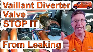 Vaillant Diverter Valve Leaking Simple Maintenance to STOP it from Leaking [upl. by Sewellyn579]