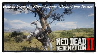 RDR2  How to get the Silver Dapple Pinto Missouri Fox Trotter [upl. by Mailliw375]