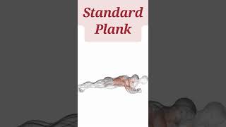 2 Plank Variations for a Strong Core  Quick Abs Workout [upl. by Harneen]