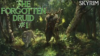 Skyrim Build The Forgotten Druid  1  Nature amp Earth Mage [upl. by Sidwell224]