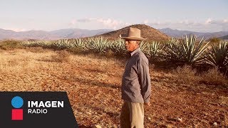 Problemas del campo mexicano en opinión de Ángel Verdugo [upl. by Sloan]