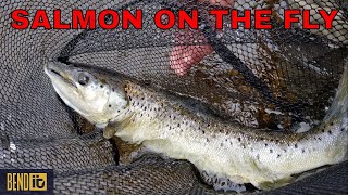 Lake Winnipesaukee Salmon on the FLY [upl. by Tterb]