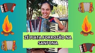 FORROZÃO ZÉ PIATA  musica sanfona forrozão voninho [upl. by Whitnell543]