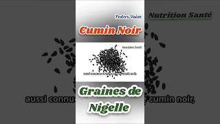 Bienfaits Graines de nigelle Cumin Noir Thymoquinone nigella graine plante huile antioxydantinflam [upl. by Francisca]