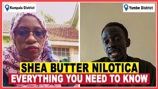 Discover the Benefits of Shea Butter Nilotica  What You Need to Know Now 2023 [upl. by Auop]