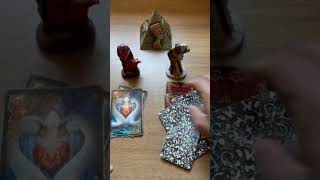 PARA CONSULTAS PARTICULARES 21 986556776 tiragemdetarot tiragemdecartas tarot tarô taro [upl. by Naejeillib]