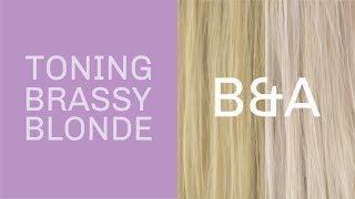 how to tone brassy blonde hair with oVertone [upl. by Kolosick]