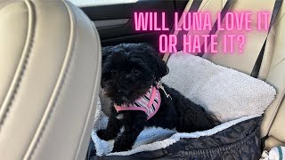 BurgeonNest Dog Car Seat Unboxing and Review How will Luna react [upl. by Ellyn]