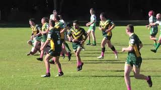 Samford vs Pine Rivers bears div 3 20 07 2024 [upl. by Esille]