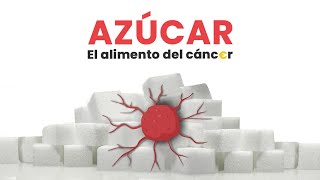 Al cáncer le gusta el azucar  Conoce el EFECTO quotWarburgquot  Azúcar y cáncer [upl. by Ilajna589]