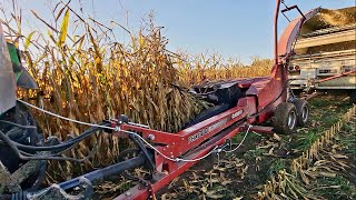 Finally Chopping The 1st Corn Silage On Our Farm Filling Silos And AgBags [upl. by Garrett]