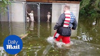 Incredible moment six dogs are rescued hurricane Florence flooding [upl. by Ahsenod]